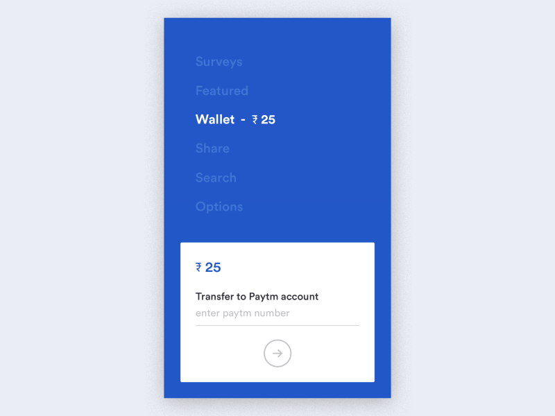 Paytm Wallet Transaction